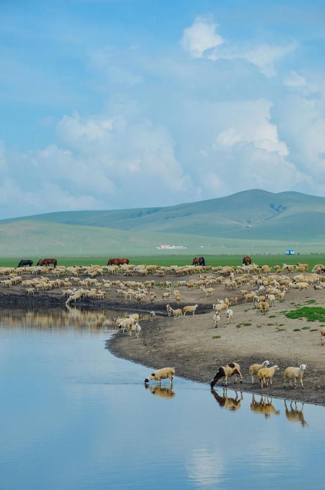 你欠这个大草原一场美梦,赶紧来看看|蒙古|海拉尔|莫尔格勒河_新浪