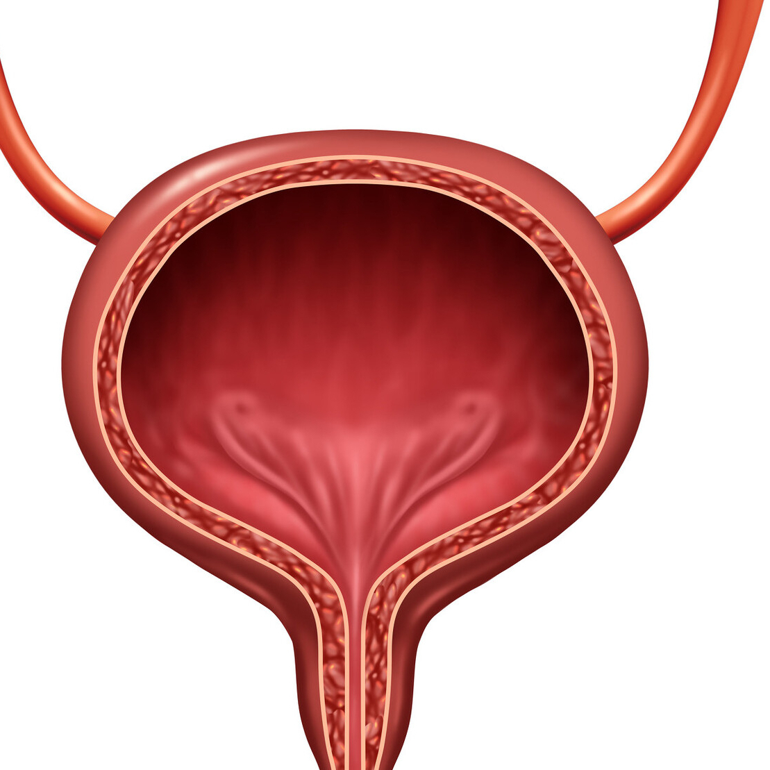尿频总跑厕所是肾不好?辟谣:导致尿频的10种病因,一一说清休闲区蓝鸢梦想 - Www.slyday.coM 尿频总跑厕所是肾不好?辟谣:导致尿频的10种病因,一一说清休闲区蓝鸢梦想 - Www.slyday.coM