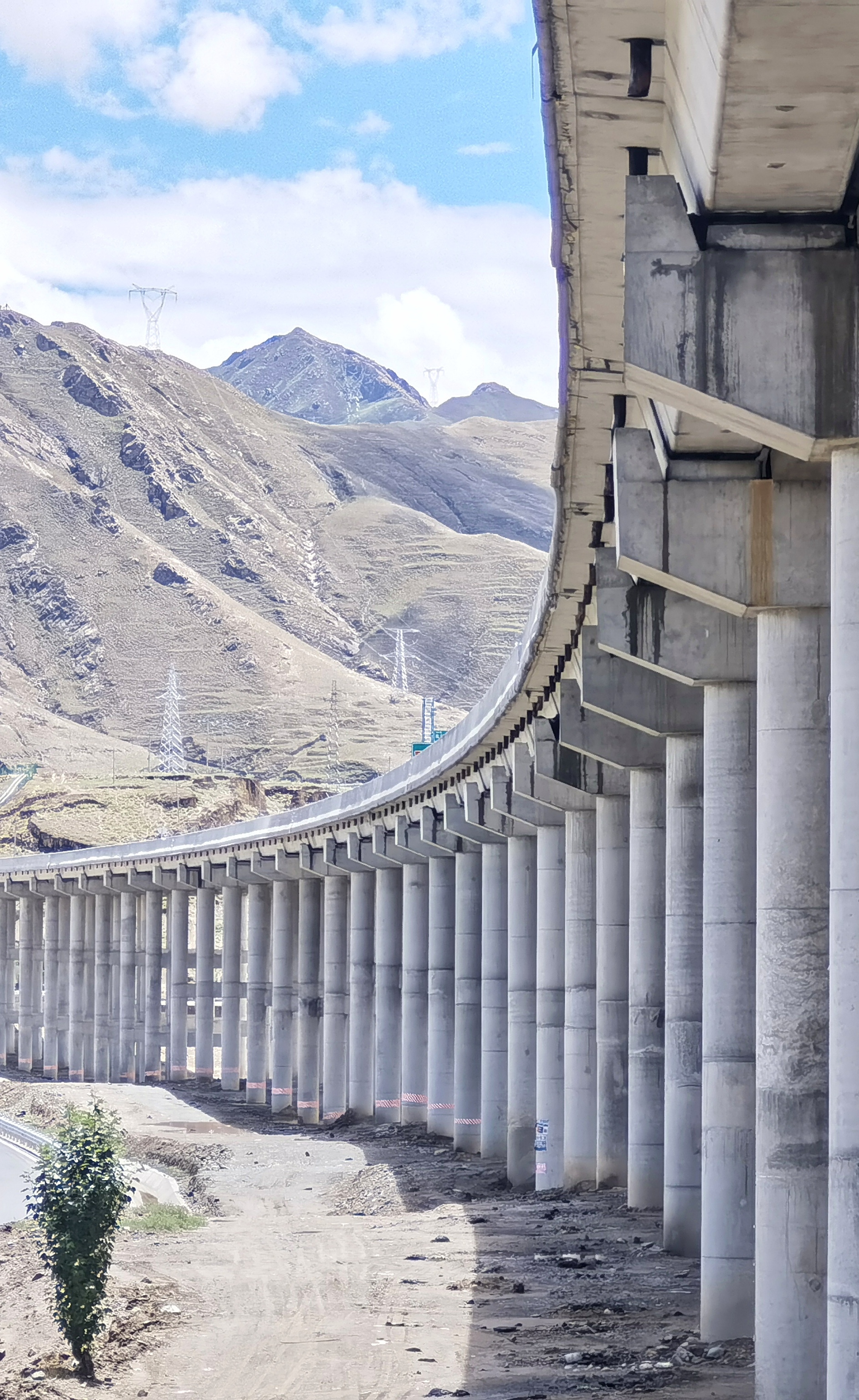 雪域欢歌70载西藏启航新时代团结线铺就幸福路西藏交