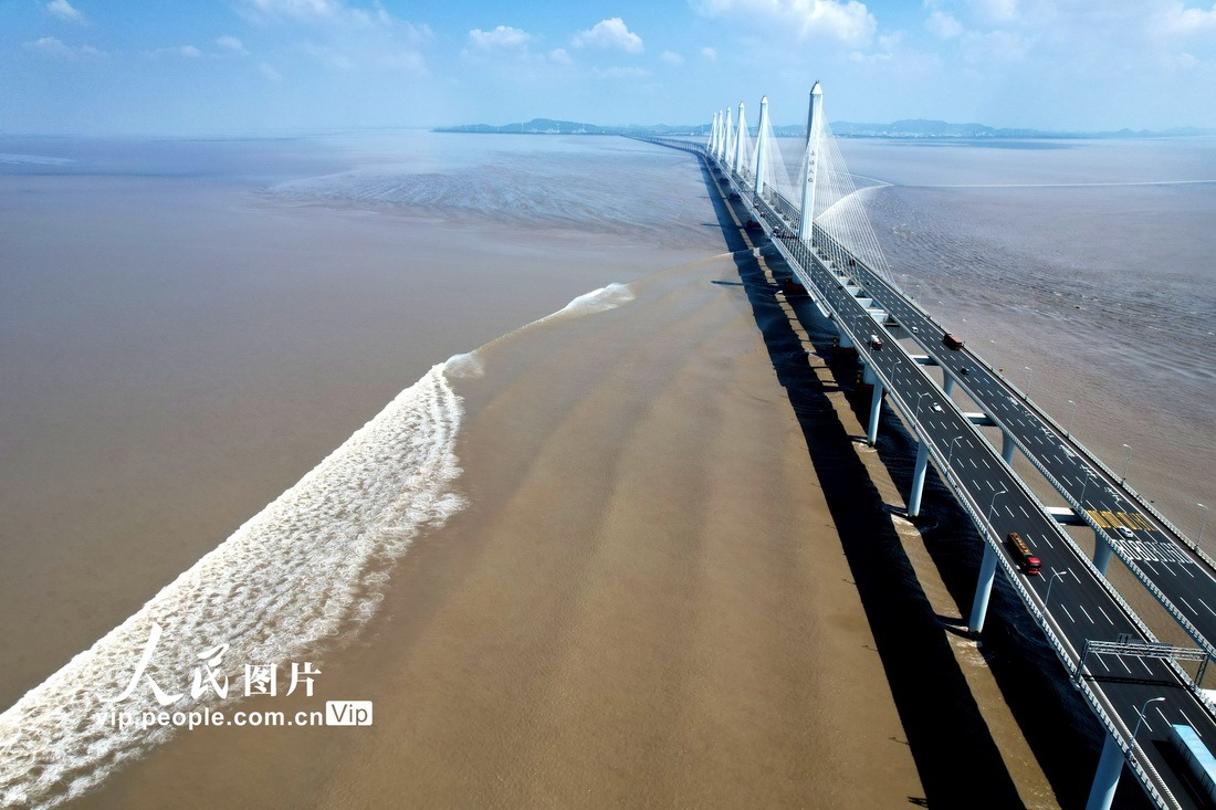 2021年8月8日是立秋后钱塘江第一个大潮汛日,潮水从杭州湾起潮,经嘉绍