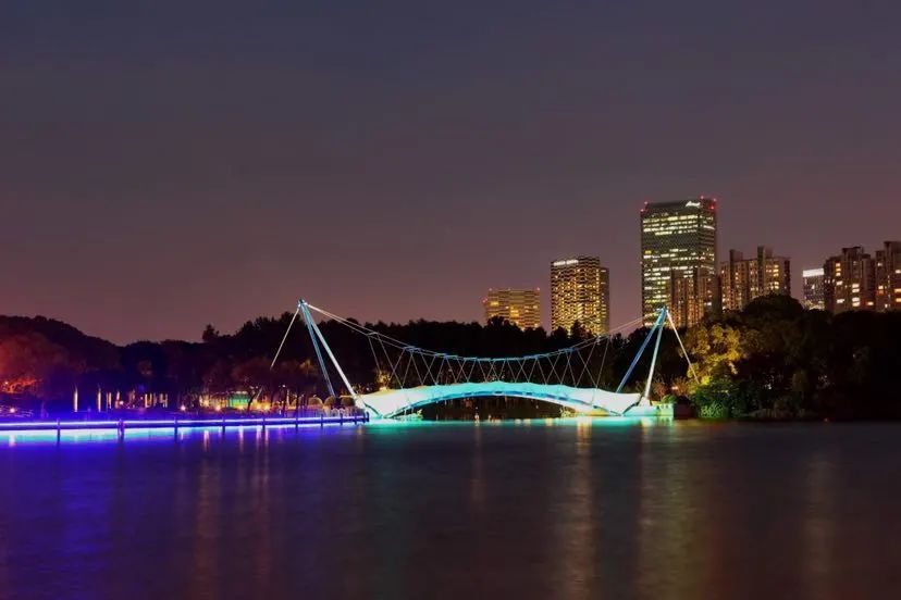 夜晚的世纪公园你去打过卡吗