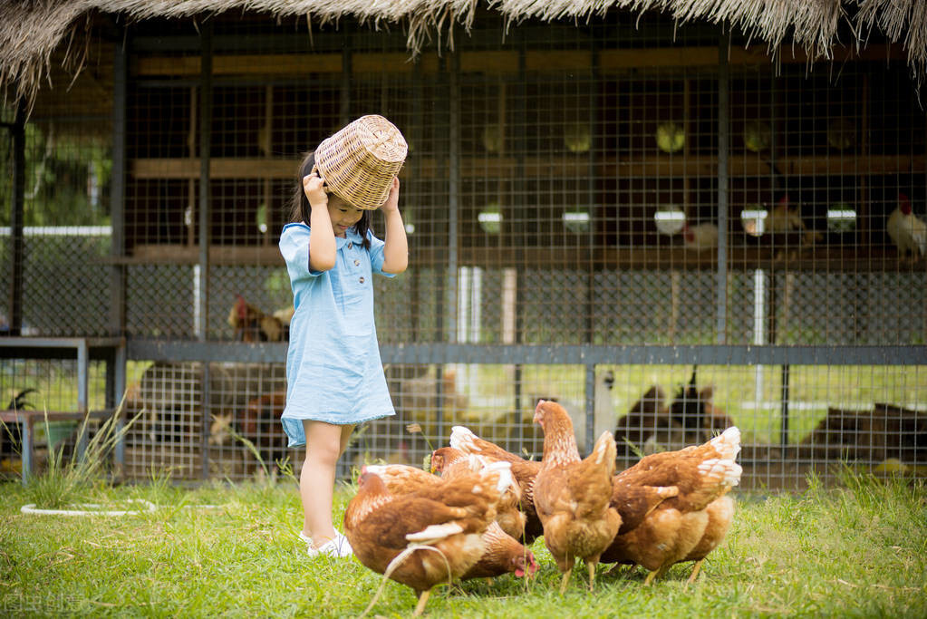 奶奶一边喂鸡一边喂娃网友笑趴了隔代育儿3个原则父母要把关