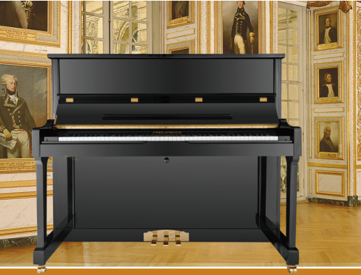黑钻钢琴你见过价值超过一栋别墅的钢琴吗