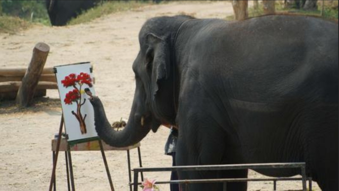 动物有多聪明?北京野生动物园游客打架,围观的动物纷纷效仿休闲区蓝鸢梦想 - Www.slyday.coM 动物有多聪明?北京野生动物园游客打架,围观的动物纷纷效仿休闲区蓝鸢梦想 - Www.slyday.coM