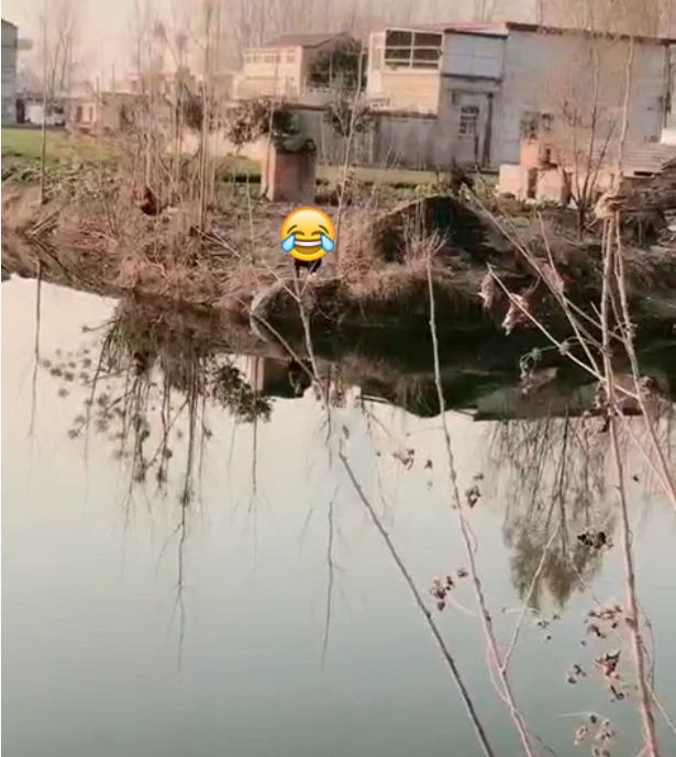 艺高人胆大!重庆大爷自带凳子拿着雨伞,淡定坐坟墓上野钓休闲区蓝鸢梦想 - Www.slyday.coM 艺高人胆大!重庆大爷自带凳子拿着雨伞,淡定坐坟墓上野钓休闲区蓝鸢梦想 - Www.slyday.coM