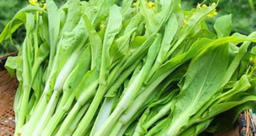 油菜|排毒|季节_新浪新闻