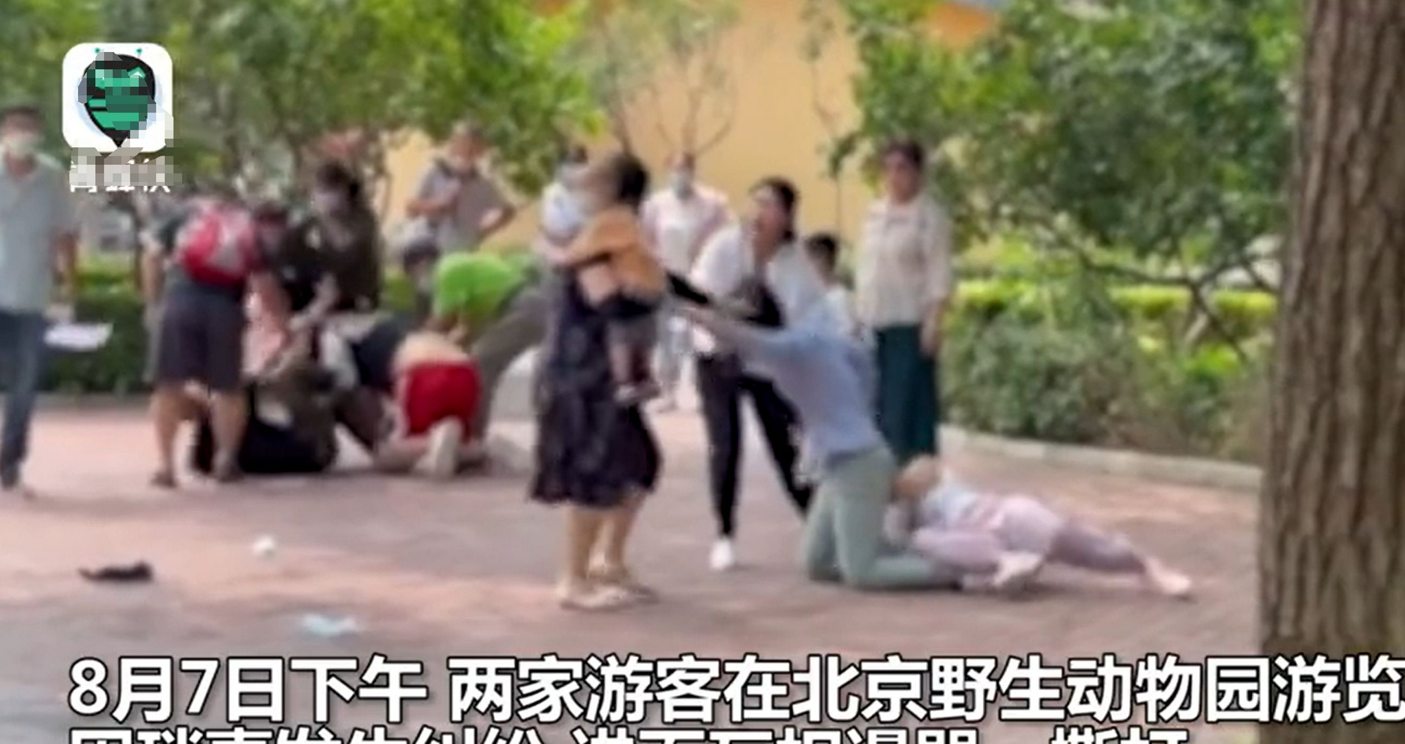 北京野生动物园两伙游客因口角打群架,围观动物当晚效仿互殴休闲区蓝鸢梦想 - Www.slyday.coM 北京野生动物园两伙游客因口角打群架,围观动物当晚效仿互殴休闲区蓝鸢梦想 - Www.slyday.coM