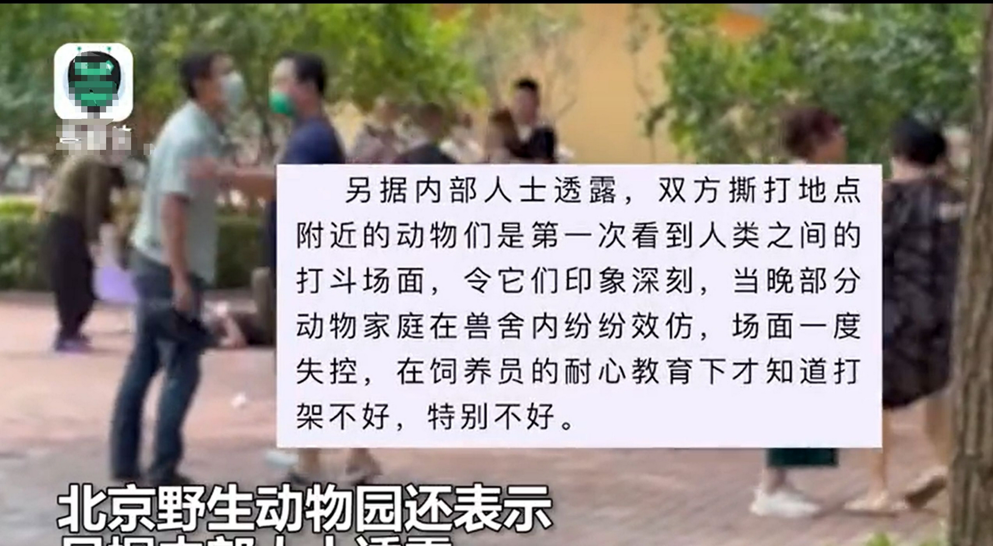 北京野生动物园两伙游客因口角打群架,围观动物当晚效仿互殴休闲区蓝鸢梦想 - Www.slyday.coM 北京野生动物园两伙游客因口角打群架,围观动物当晚效仿互殴休闲区蓝鸢梦想 - Www.slyday.coM