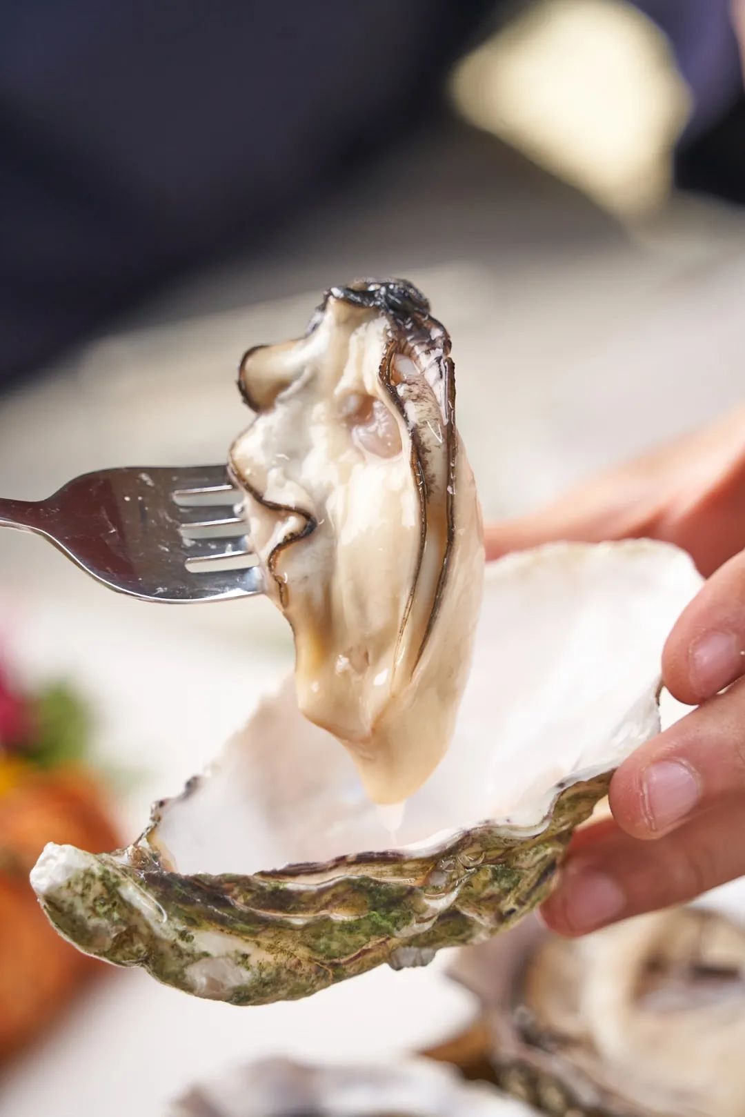 限时两天,爱尔兰生蚝七夕双人套餐甜蜜上线,520浪漫开吃!__财经头条