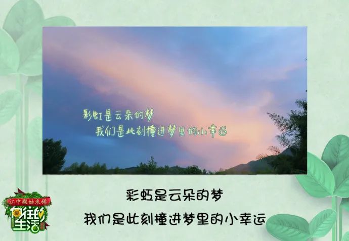 《向往的生活5》收官,喜欢这50句文案