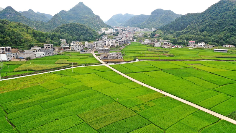 贵州七部门印发财政衔接推进乡村振兴补助资金管理办法