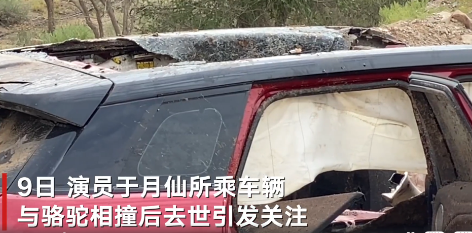 于月仙车祸现场细节曝光