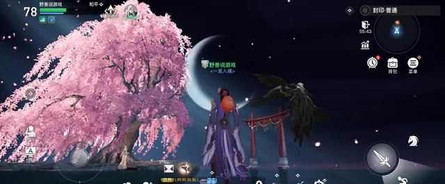 天谕手游副本遇到司空瑶原来这才是风景大作