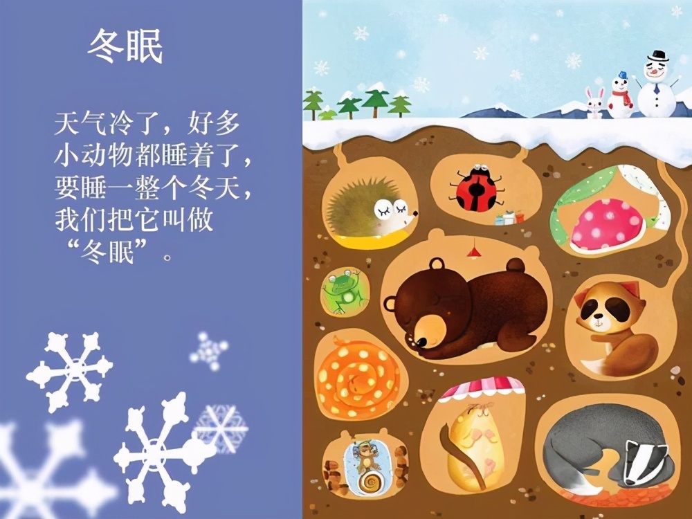 蛇为什么要冬眠在冬眠的时候遇到天敌怎么办