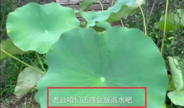 42岁殷桃结婚了?被曝豪宅面积5000平,甜蜜称陌生男子为“老公”休闲区蓝鸢梦想 - Www.slyday.coM 42岁殷桃结婚了?被曝豪宅面积5000平,甜蜜称陌生男子为“老公”休闲区蓝鸢梦想 - Www.slyday.coM