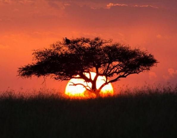 秦皇岛被救女子：我们已经道歉了,你们还想怎么样?休闲区蓝鸢梦想 - Www.slyday.coM