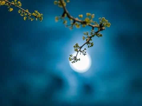 五个字的诗带月亮的 e780-6bf5e8285c760d01940c8ddcc499c9bd.jpg