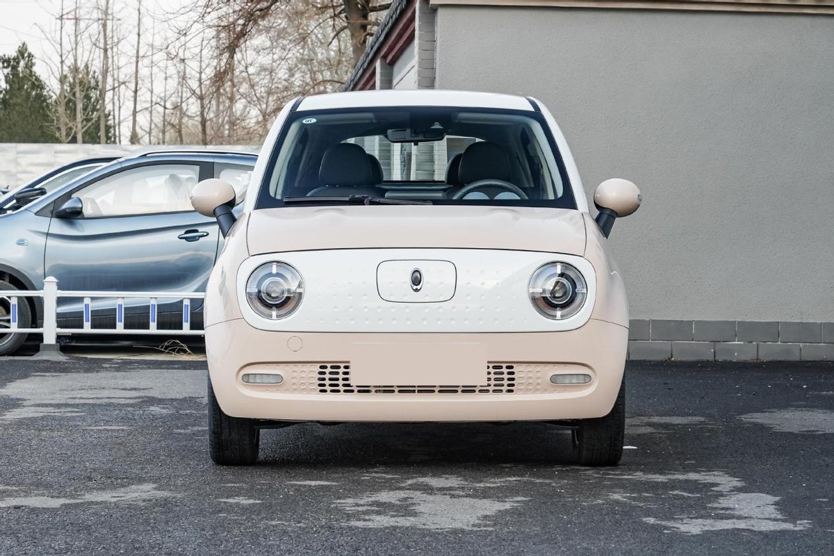 适合宝妈的欧拉黑猫,6.98万起,颜值高,续航300 km,推荐次顶配