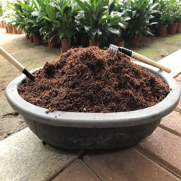 哪些养花旧土不能用可用的又该怎么处理好