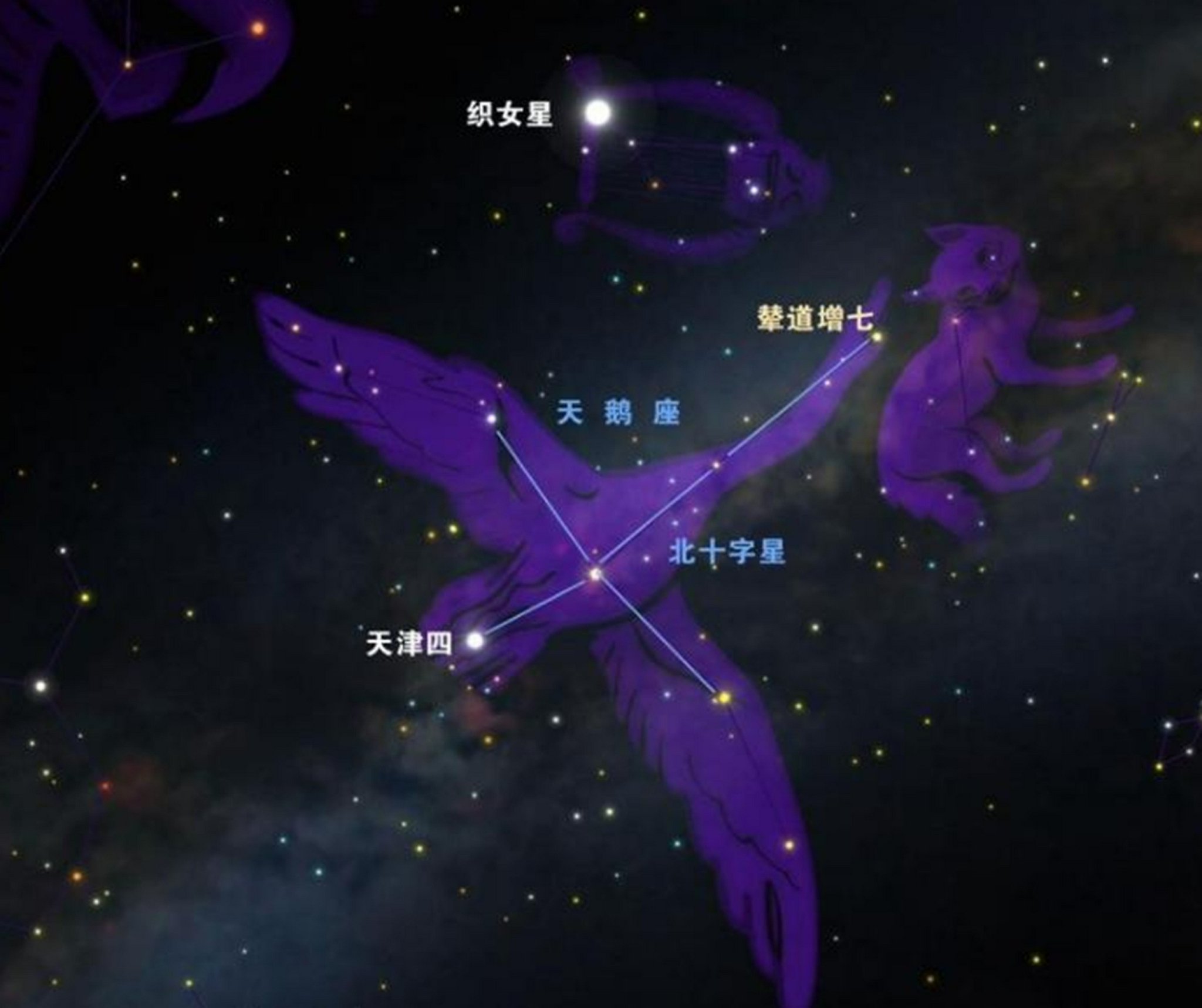 1400光年天鹅座邮件有什么危险看过三体都说不要回答