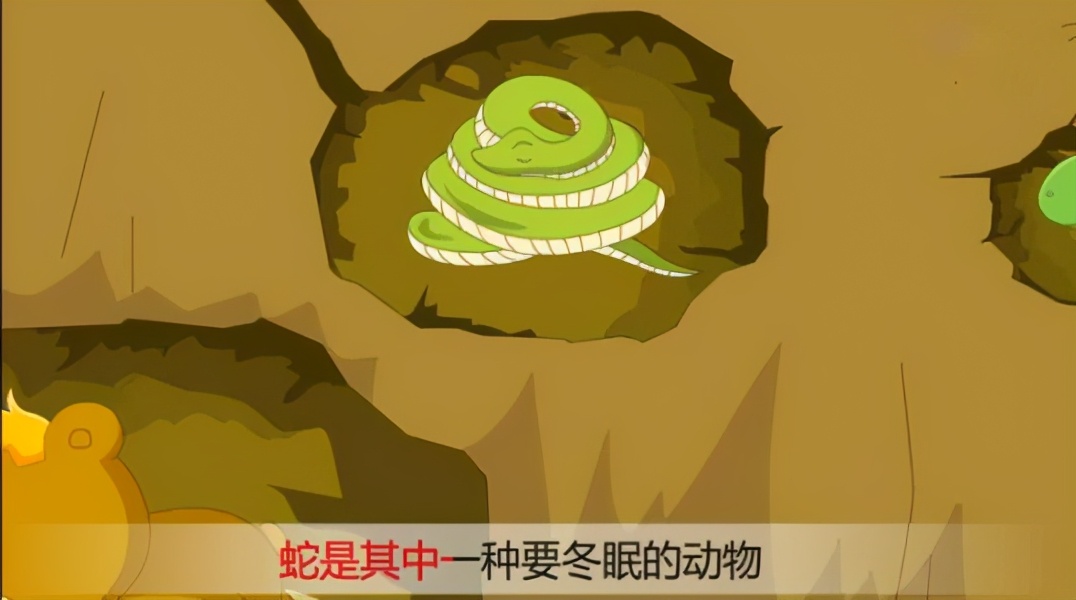 蛇为什么要冬眠在冬眠的时候遇到天敌怎么办