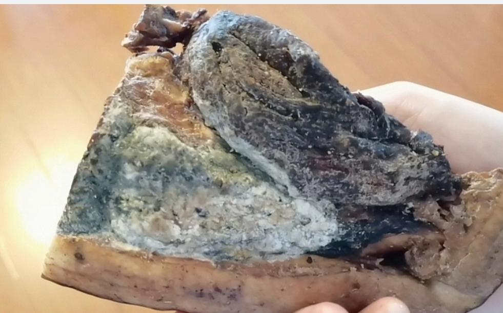 只要没有防腐措施,动物身上的肉就已经开始在细菌的作用下腐烂变质