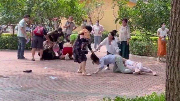 北京野生动物园游客打架有薅有踹，“打架不好”公告火遍全球休闲区蓝鸢梦想 - Www.slyday.coM