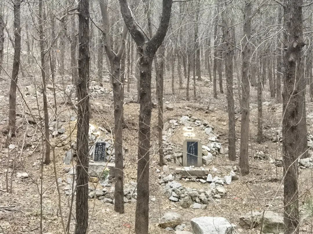 半月谈：有5A景区分布数万墓穴，部分城市私埋乱葬长期存在