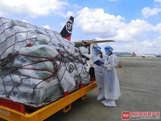 广西从严从紧进行疫情防控,连续207天无新增本土病例休闲区蓝鸢梦想 - Www.slyday.coM 广西从严从紧进行疫情防控,连续207天无新增本土病例休闲区蓝鸢梦想 - Www.slyday.coM