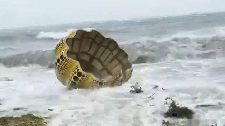 侃天下 |"卢碧"凶猛,草间弥生上亿日元"南瓜"被吹落海中