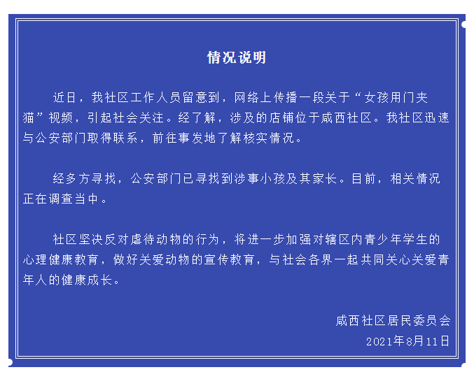 女孩宠物店内推门夹死小猫被网暴，店长发声休闲区蓝鸢梦想 - Www.slyday.coM