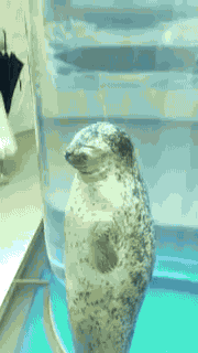 7岁男童竟在小区儿童泳池溺亡！只因经营者和家长都疏忽了这里...休闲区蓝鸢梦想 - Www.slyday.coM