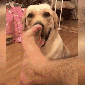 涨知识脚臭能护命也能致病原来关键点在这里