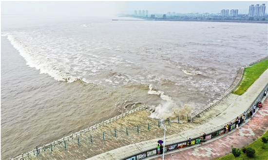 浙报图片点赞!海宁老盐仓观潮点"回头潮"蔚为壮观