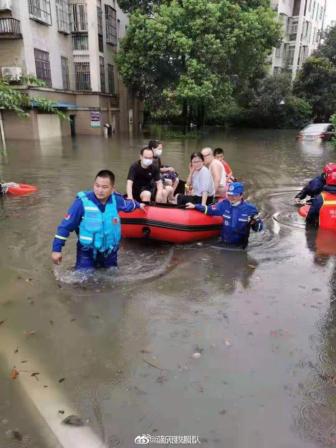 柳林镇洪水图片