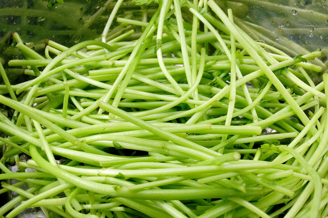 蒜蓉茼蒿的做法