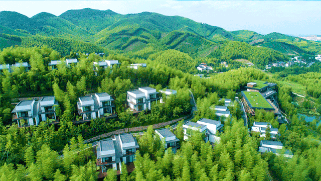 上海自驾25h藏在山谷里童话仙境慧心谷绿奢度假民宿丨慧心谷