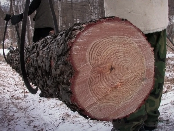 人的豪爽与干练,他们靠山吃山,在深山老林中过着属于自己独特的生活