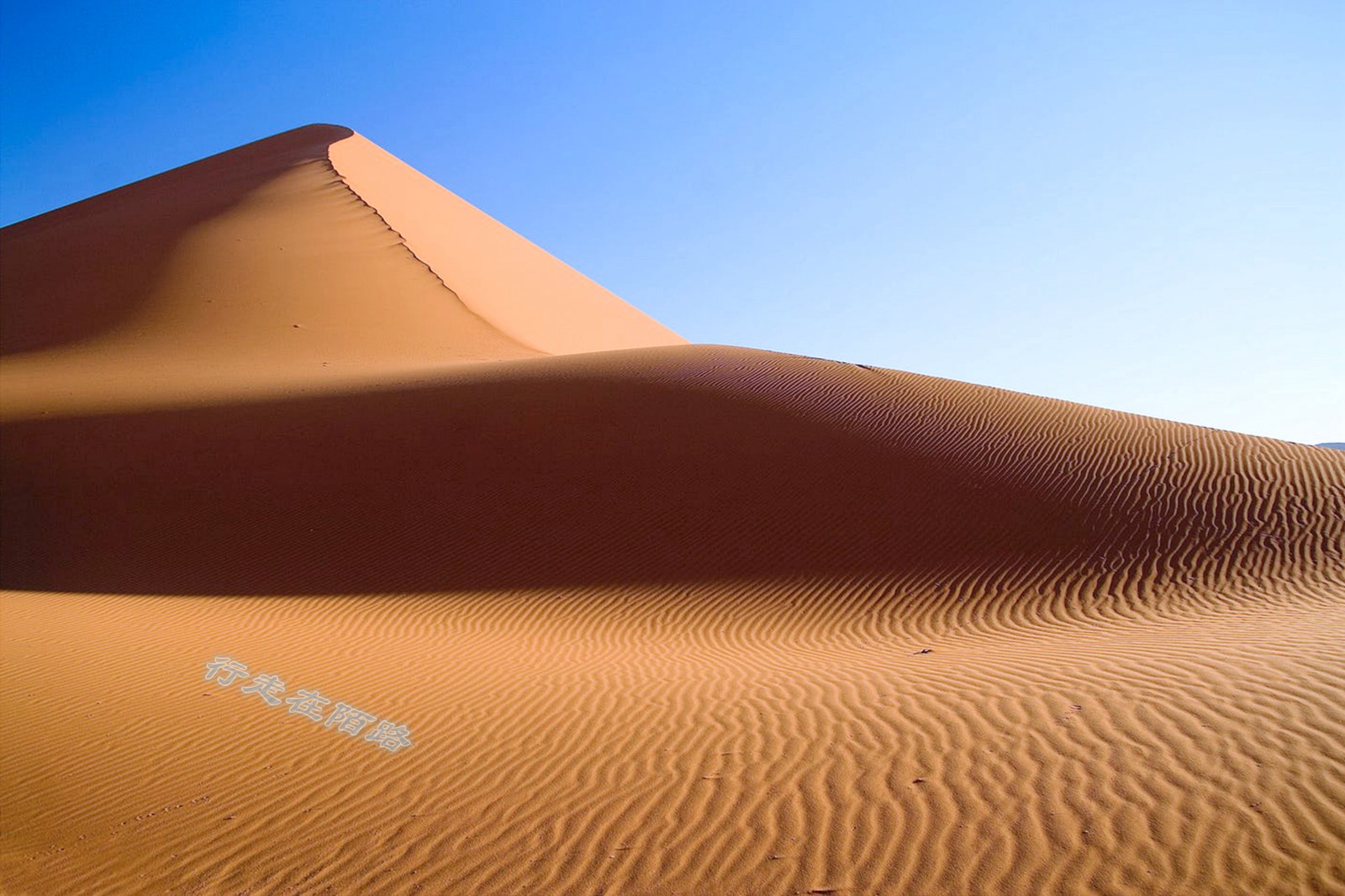 纳米布沙漠奇景550米沙丘如汹涌海浪八千年无人定居