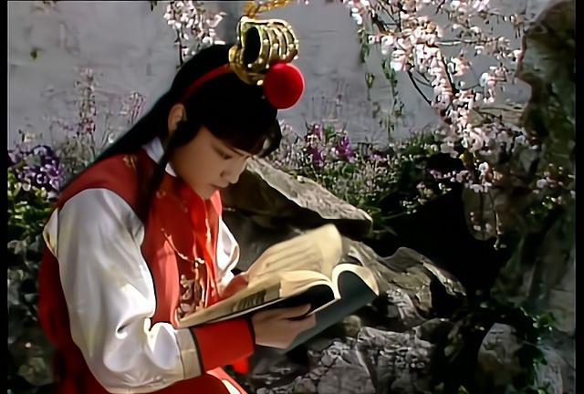 诗词歌赋不消说是读得不少的,而最爱的恐怕还是《西厢记》这样的书