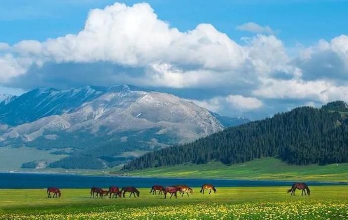 1998年狮身像下发生怪异的事！一群人无故消失，他们经历了什么？休闲区蓝鸢梦想 - Www.slyday.coM