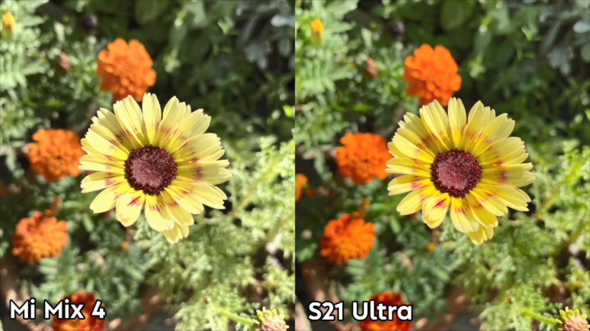 1亿镜头之间的厮杀小米mix4和三星s21ultra实拍差距明显