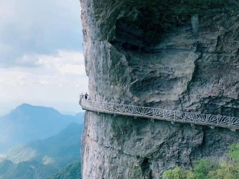 金佛山|山顶|森林_新浪新闻