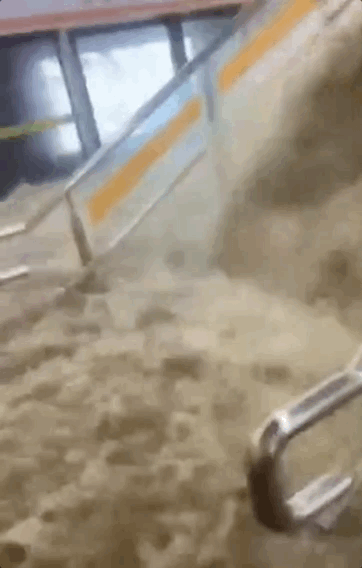 紧急！湖北遭特大暴雨！房屋被淹，老人小孩困在家中....郑州的悲剧千万别重演！休闲区蓝鸢梦想 - Www.slyday.coM