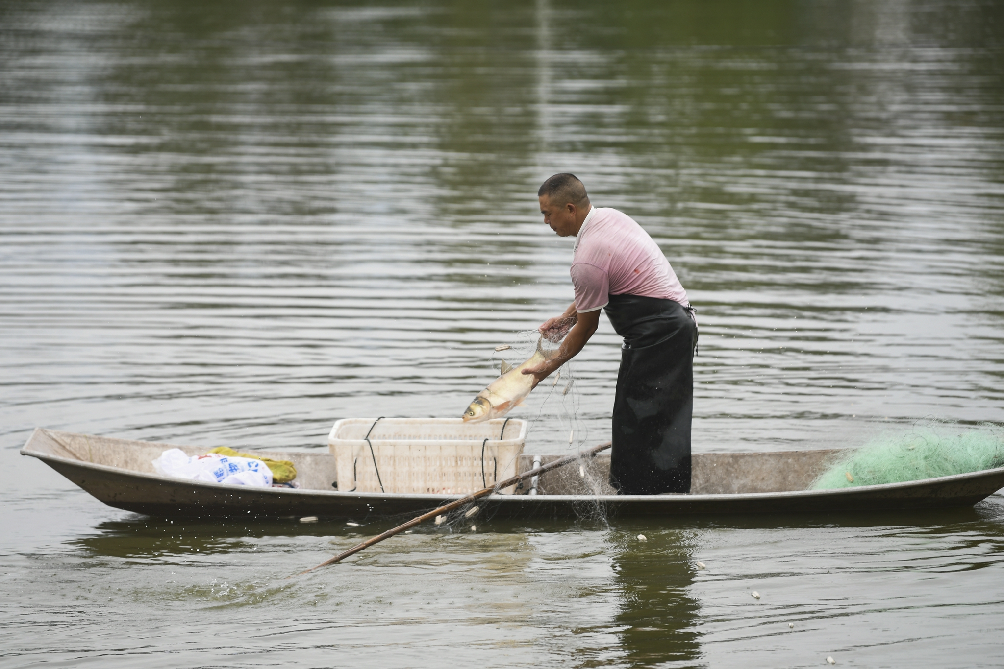 重庆璧山:"清水养鱼"显效益