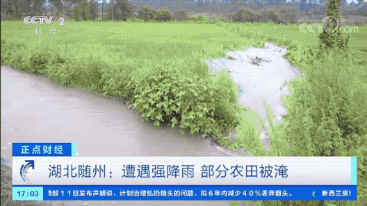湖北多地遭遇特大暴雨！公路被冲断、通信信号中断、多人被困…休闲区蓝鸢梦想 - Www.slyday.coM