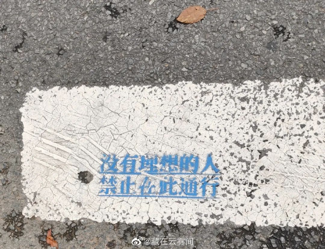 和流星雨一起降落的，有这些人间美好休闲区蓝鸢梦想 - Www.slyday.coM