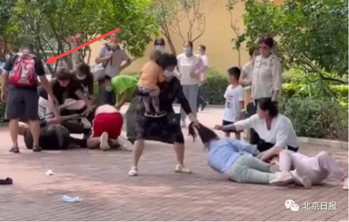 北京野生动物园游客打斗被平息，得益于这位副教授仗义出手