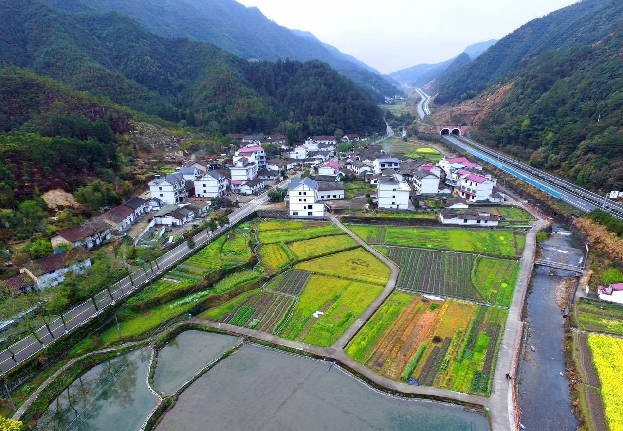 让人震惊的消息：龙泉最多按摩一条街，2025年龙泉最多按摩一条街最新服务体验与位置全览