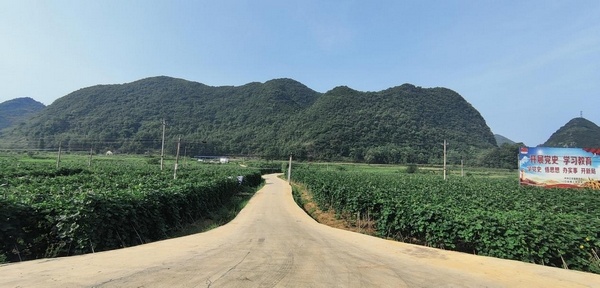 镇宁江龙镇:一心一意谋"四化" 竭尽全力促发展